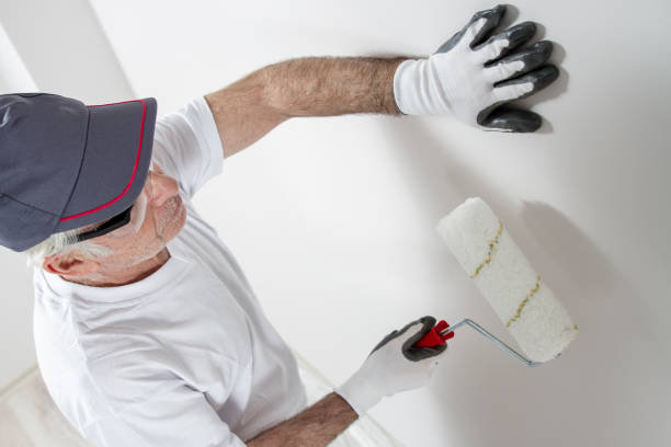 Best Water Damage & Mold Remediation  in Cape St Claire, MD