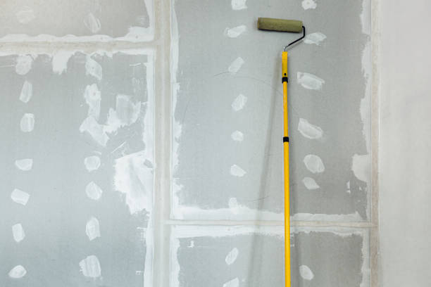 Mold Odor Removal Services in Cape St Claire, MD