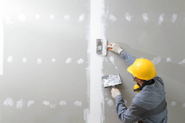 Best Mold Damage Restoration  in Cape St Claire, MD