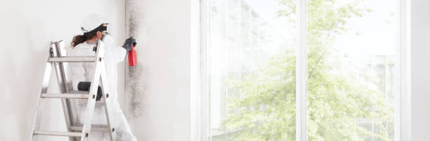 Best Emergency Mold Remediation  in Cape St Claire, MD