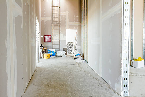 Best Crawl Space Mold Remediation  in Cape St Claire, MD