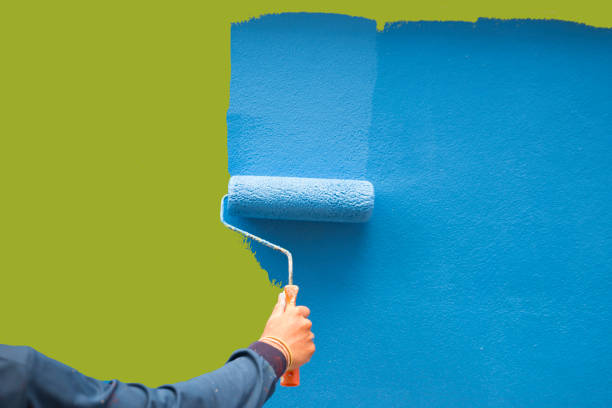 Best Basement Mold Removal  in Cape St Claire, MD